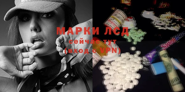 spice Алзамай