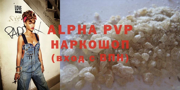 шишки Няндома