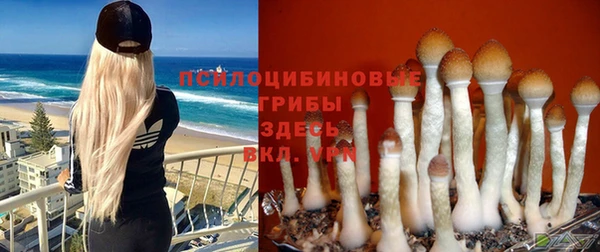 твердый Алексин