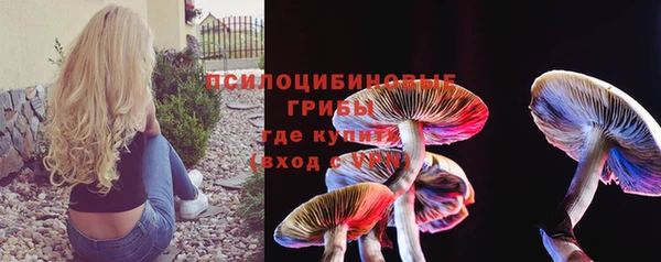 spice Алзамай