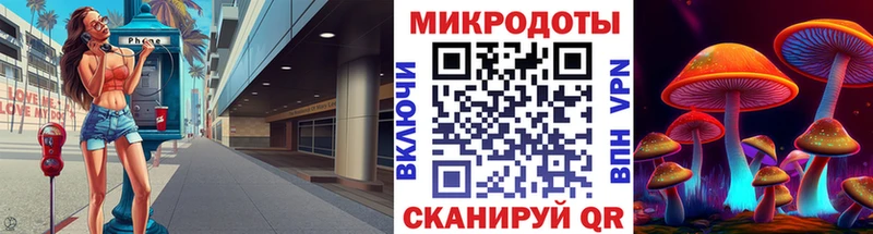 Галлюциногенные грибы прущие грибы  Сунжа 