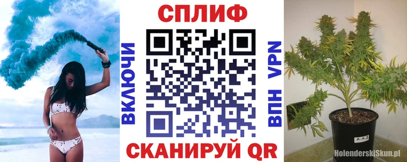 наркота дарк нет как зайти Марихуана планчик Сунжа